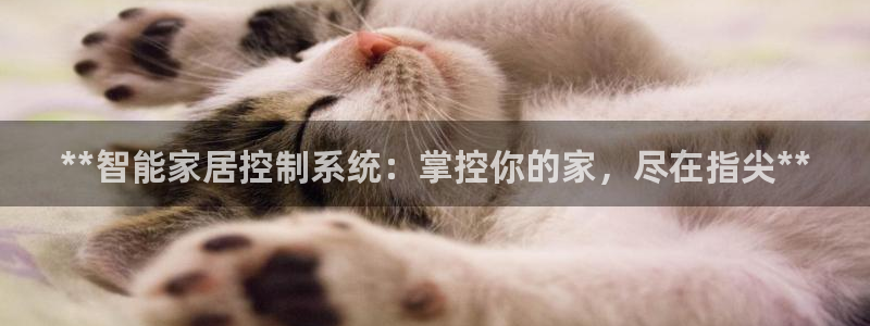 ug环球网