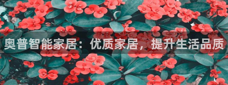 ug环球xkk908搜徽