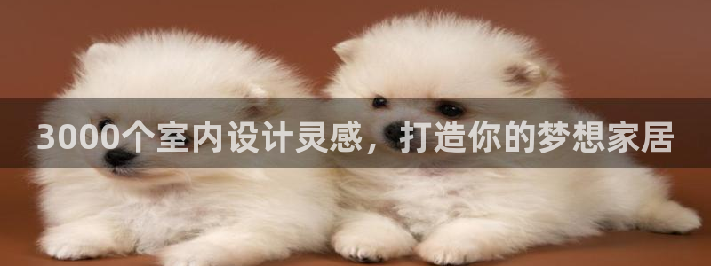 UG环球1比一