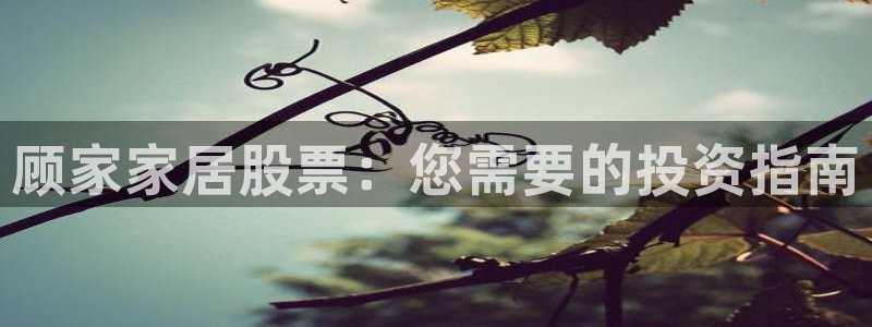 ug环球在线注册