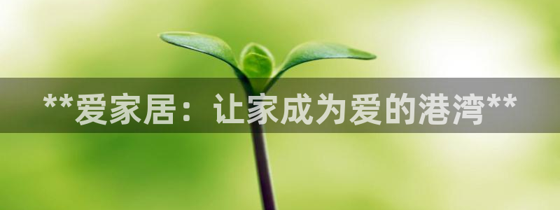 ug环球正网买分