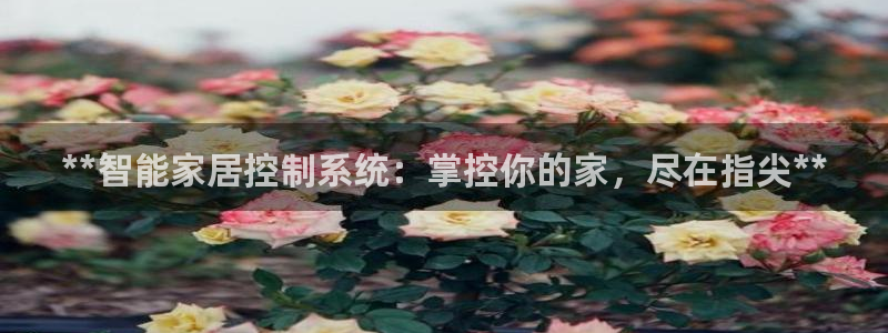 ug环球正网一比一