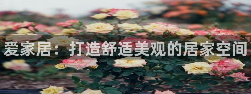 UG环球代理
