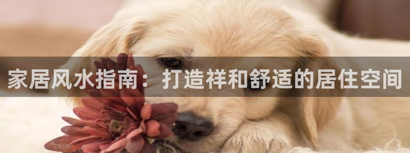 ug环球会员手机版下载