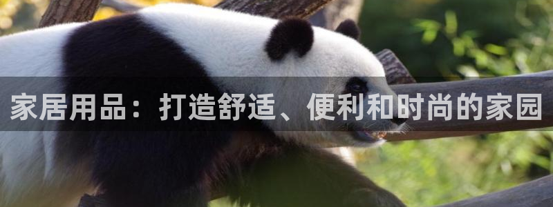 ug环球会员官方客服电话