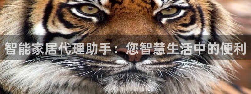 ug环球视讯真假