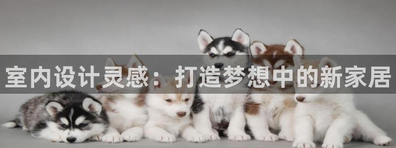 ug环球官网注册会员登录