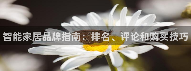 环球ug死网