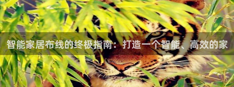 ug环球包杀网一比一