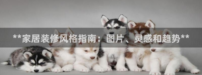 UG环球官网
