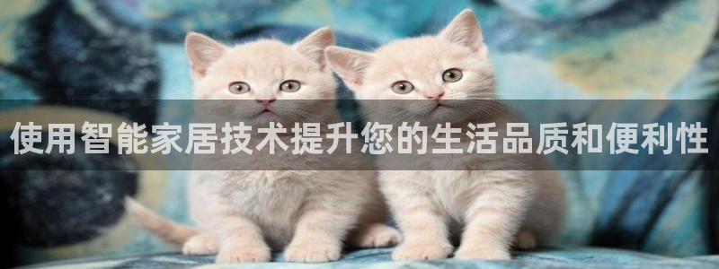 UG环球假网一比一包杀网