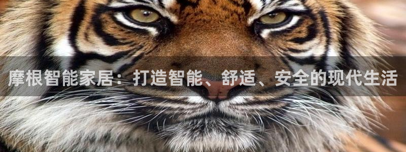 ug环球官网