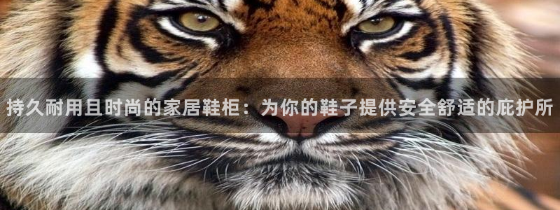 ug环球国际买分
