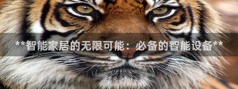 ug环球游戏网站