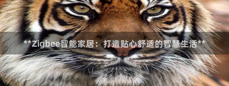 ug环球xkk908搜徽