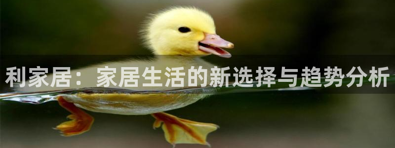 ug环球官网合作