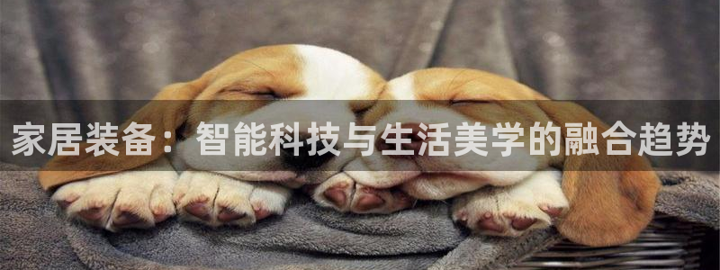 Ug环球私网一比一