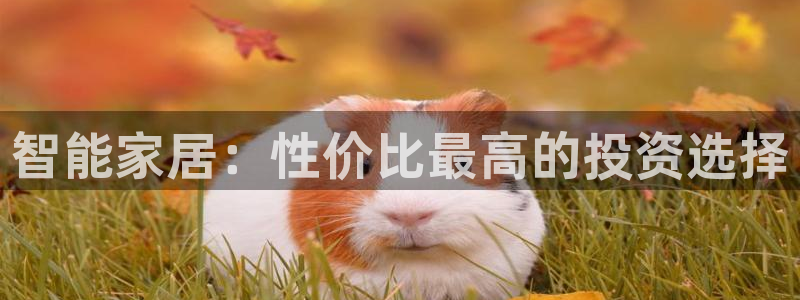 ug环球去唯xkk908