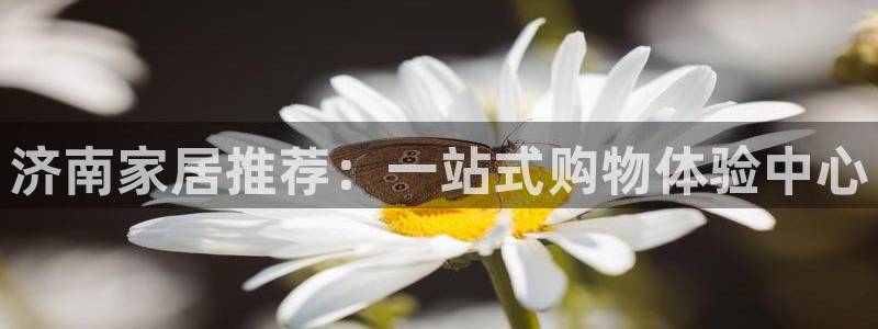 ug环球国际买分