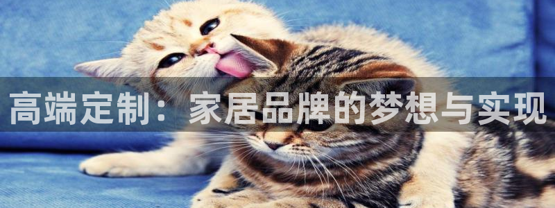 ug环球买代理