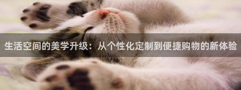 UG环球会员官方