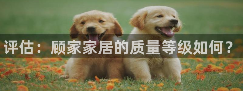 ug环球xkk908搜徽