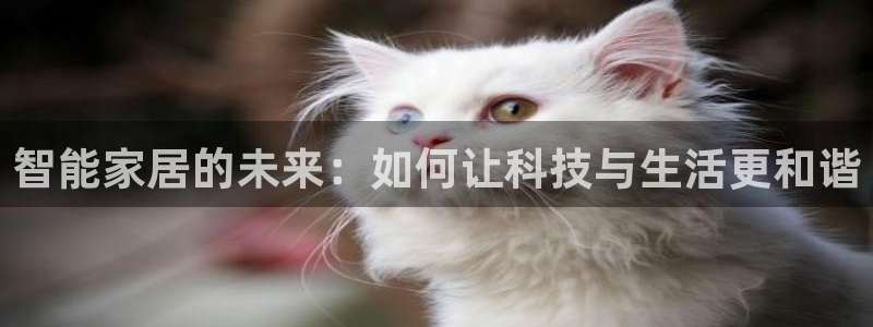 ug环球会员开户