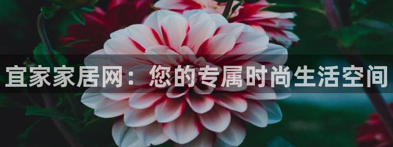 环球ug死网：宜家家居网：您的专属时尚生