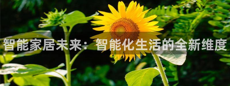 ug环球开户