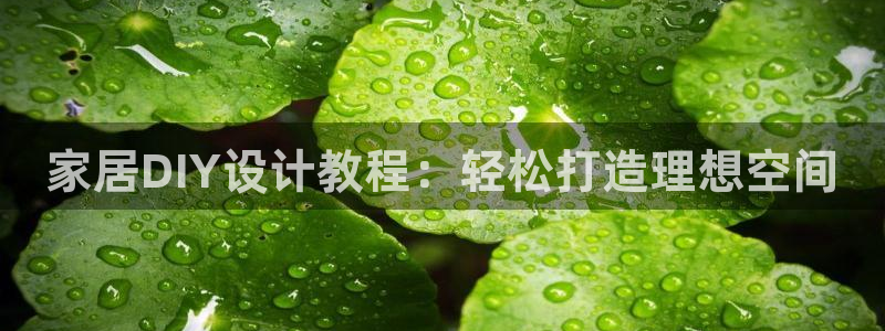 UG环球360官方网站：家居DIY设计教