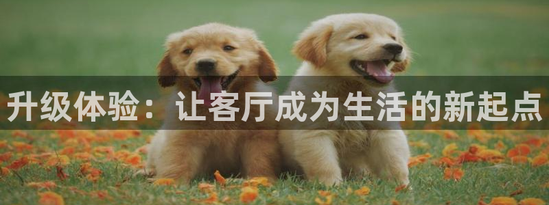 ug环球正网一比一