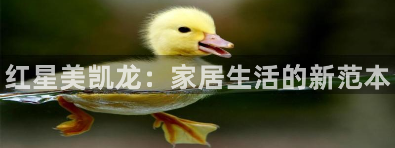 ug环球xkk908搜徽