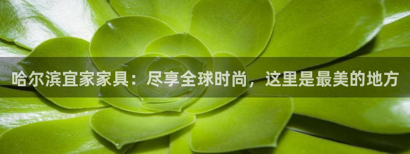 ug环球视讯
