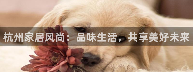 UG环球代理