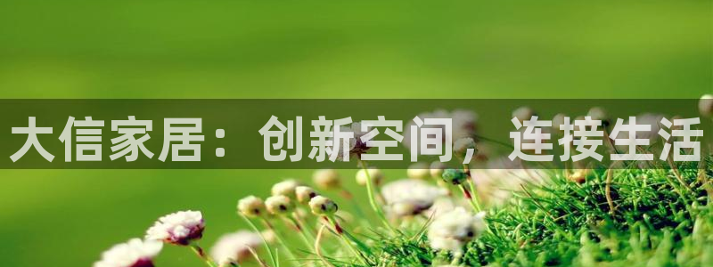 ug环球视讯官网