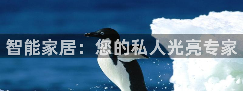 ug环球密码重置是多少位数