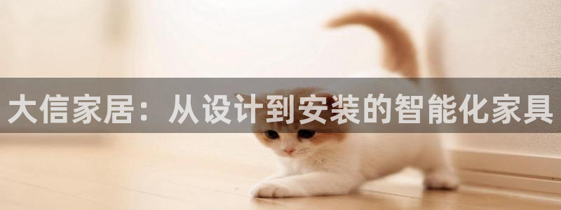 ug环球国际官网：大信家居：从设计到安装