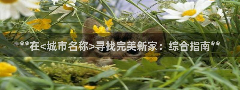 ug环球密码重置是多少位数啊