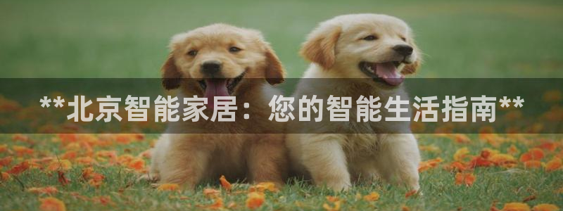 ug环球官网会员注册