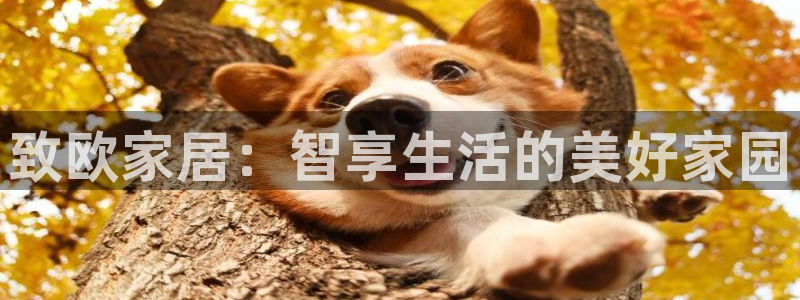 ug环球游戏网站官网