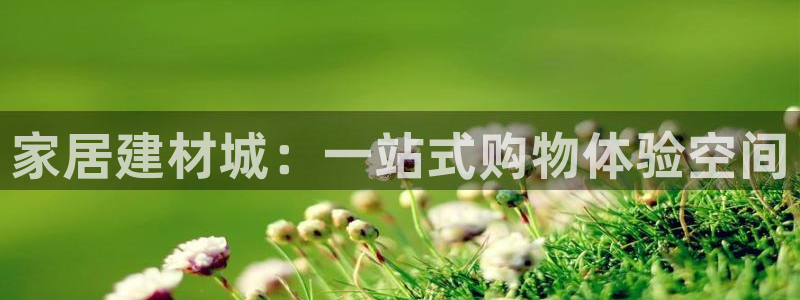 ug环球国际买分