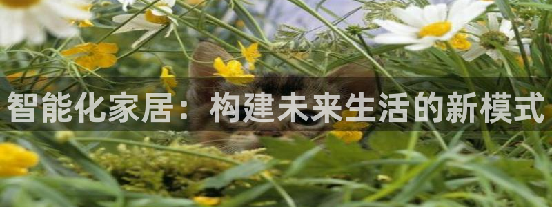 ug环球视讯手机版官网
